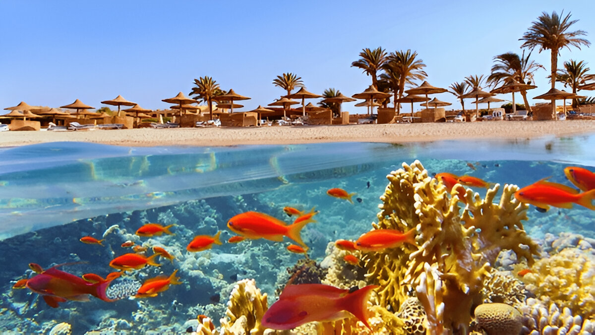 hurghada-turlari-2025-dalis-turlari