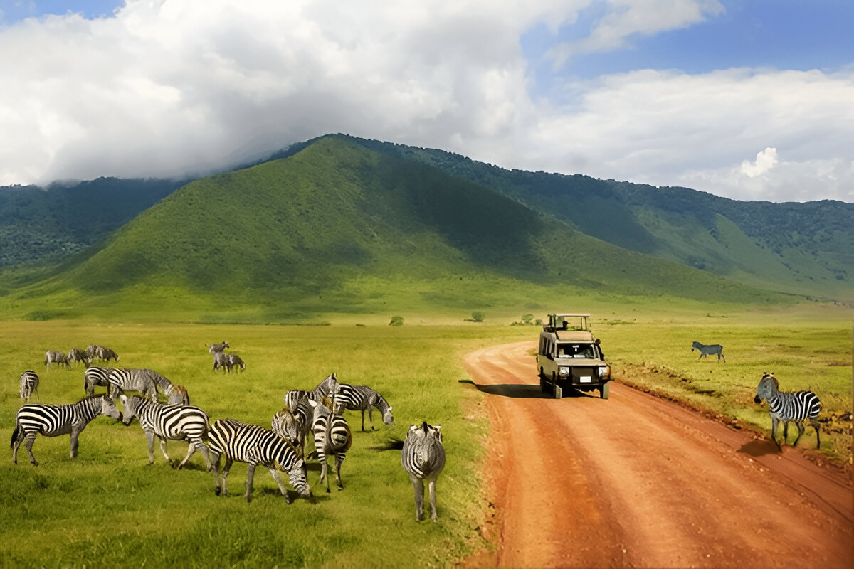 orta-ve-guney-afrika-turlari-tanzanya